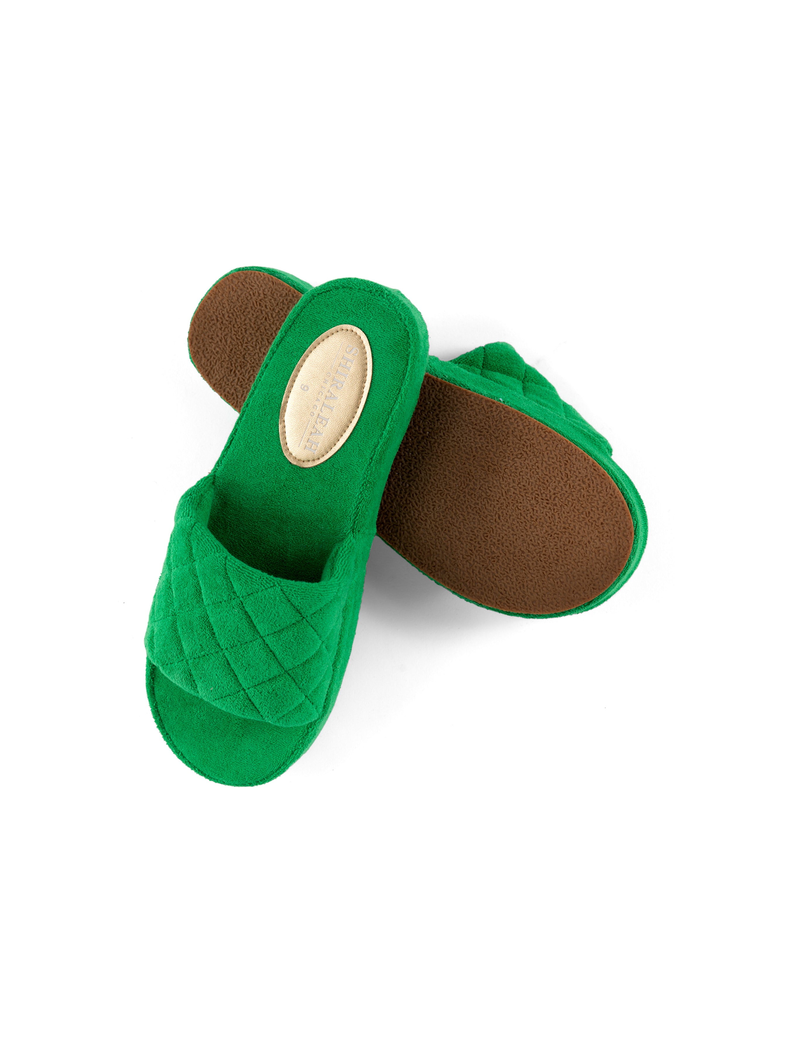 Shiraleah Assorted Set of 6 Sol Pool Slides, Green