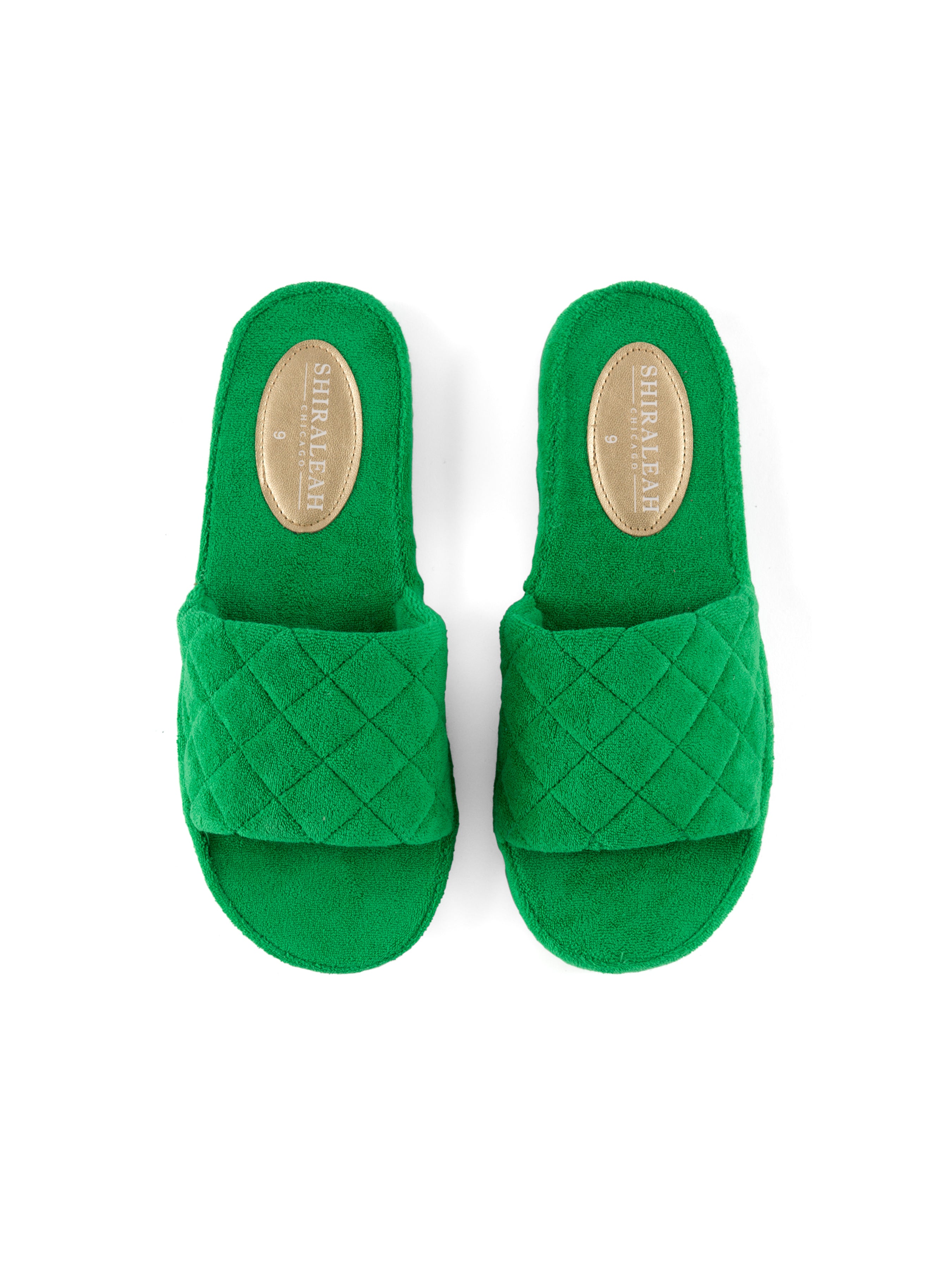 Shiraleah Assorted Set of 6 Sol Pool Slides, Green