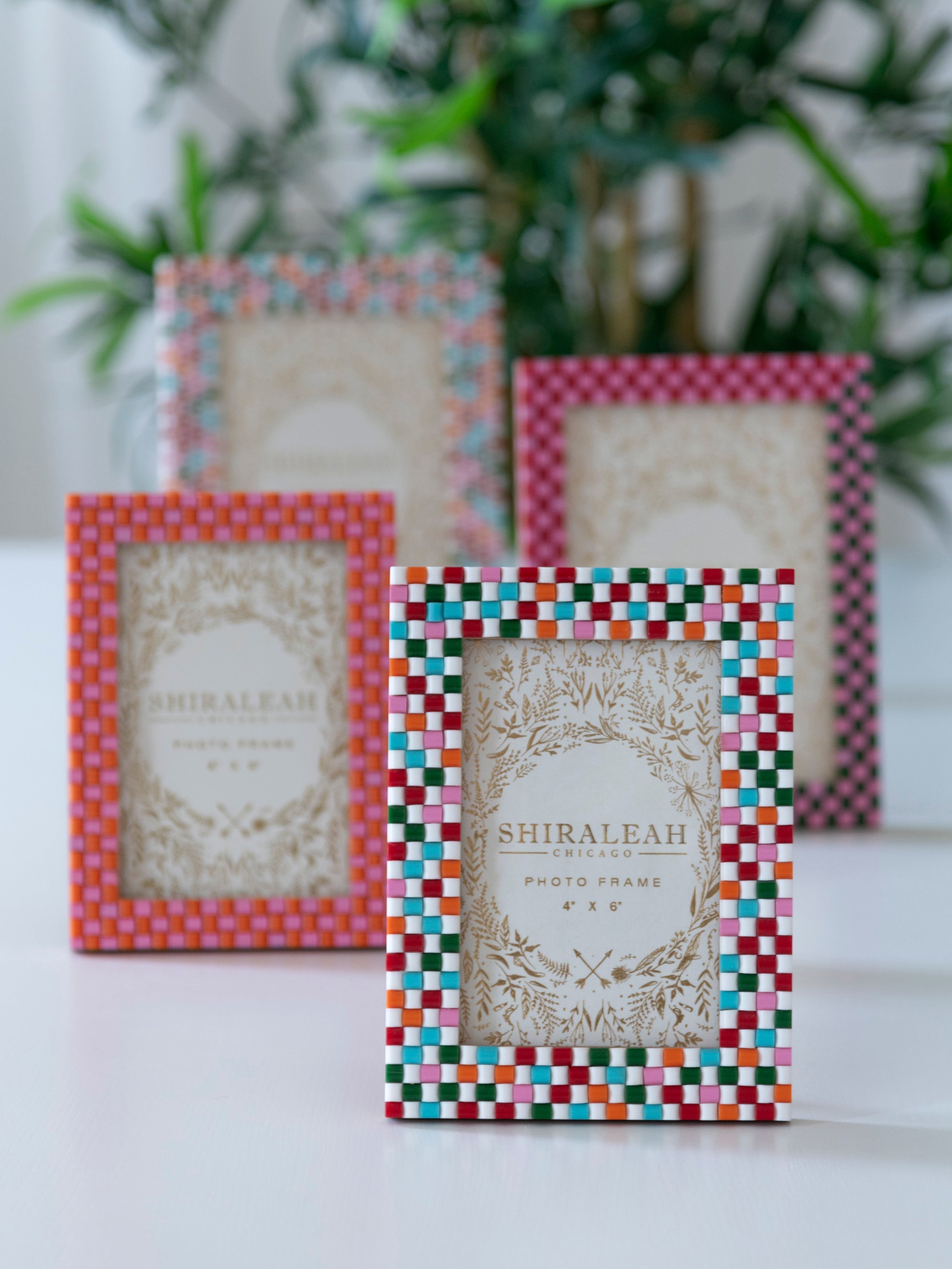 Shiraleah Viva 4" x 6" Check Picture Frame, Multi