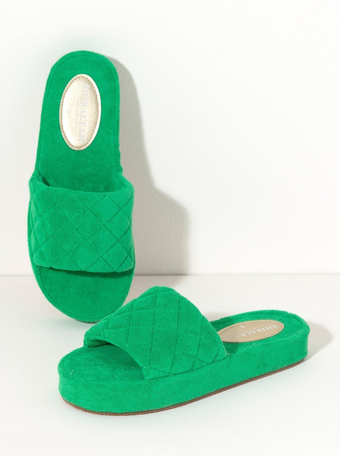 Shiraleah Assorted Set of 6 Sol Pool Slides, Green